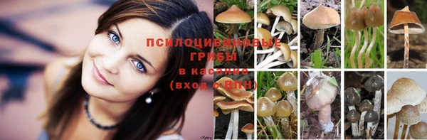ECSTASY Богородицк