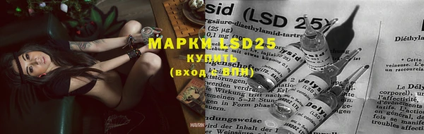 ECSTASY Богородицк