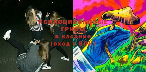 дурь Богданович