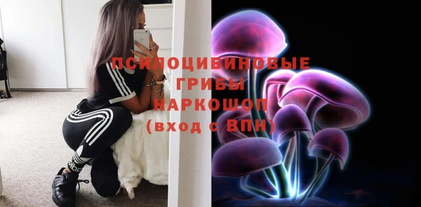 скорость Богородск
