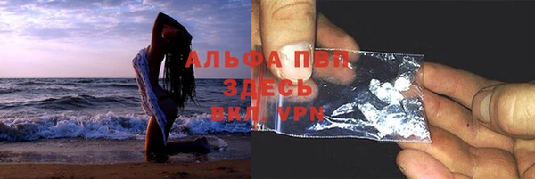 ECSTASY Богородицк