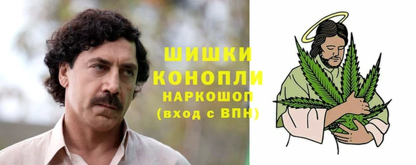 ECSTASY Богородицк