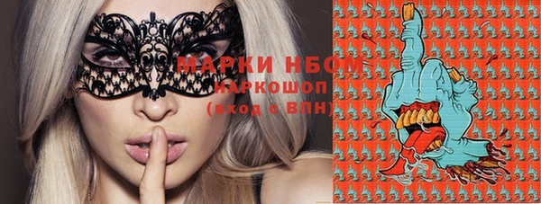 ECSTASY Богородицк