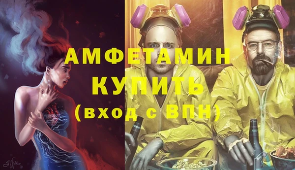 ECSTASY Богородицк
