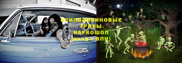 ECSTASY Богородицк