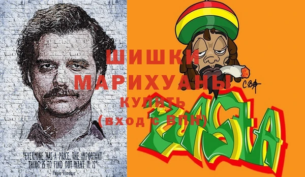 ECSTASY Богородицк