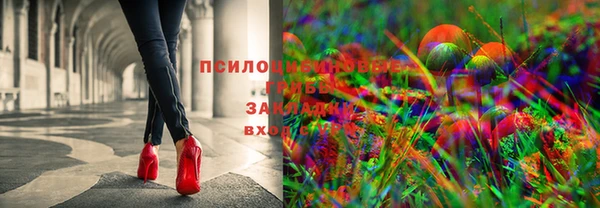 дурь Богданович
