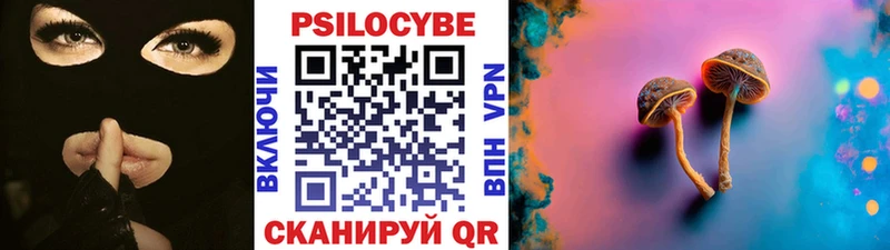 купить закладку Красноармейск Галлюциногенные грибы Psilocybine cubensis